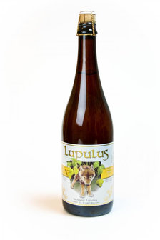 Lupulus Tripel